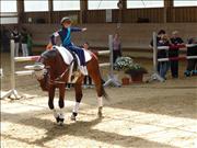 voltitag 2009 _CD1 087